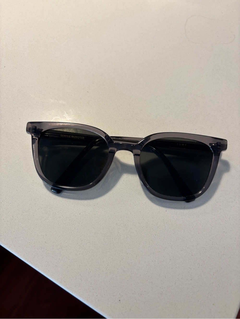 GENTLE MONSTER Tomy Translucent Gray Frame Sunglasses with Dark Lenses